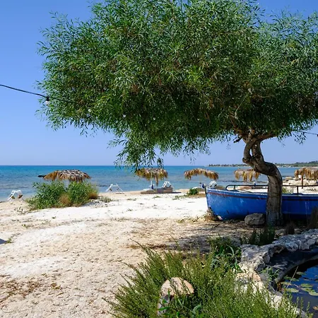 Thalassines